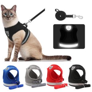Cat Dog Adjustable Harness Summer Vest Walking Lead Leash Rope