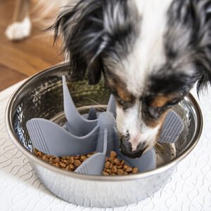 Dog Slow Feeder Bowl Insert Dogs And Cats Feeding Accessories