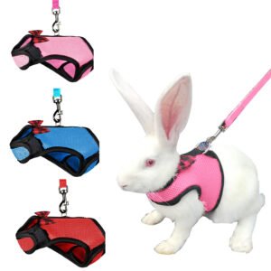 Pet Mesh Soft Harness With Leash Small Animal Vest Lead