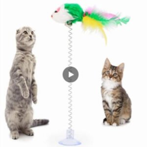 Spring Cats Toy Funny Interactive Suction Spring Pets Toy