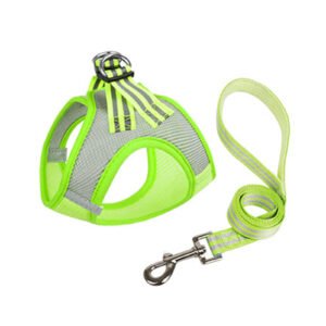 Step In Dog Harness And Leash Set Adjustable Reflective Puppy Harness