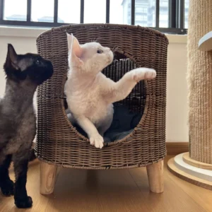 Cat Bed Cattery Keep Warm in Winter Semi-closed Rattan Weaving Kennel Pet Products Cat Carrier Pet House Ventilate All-season
